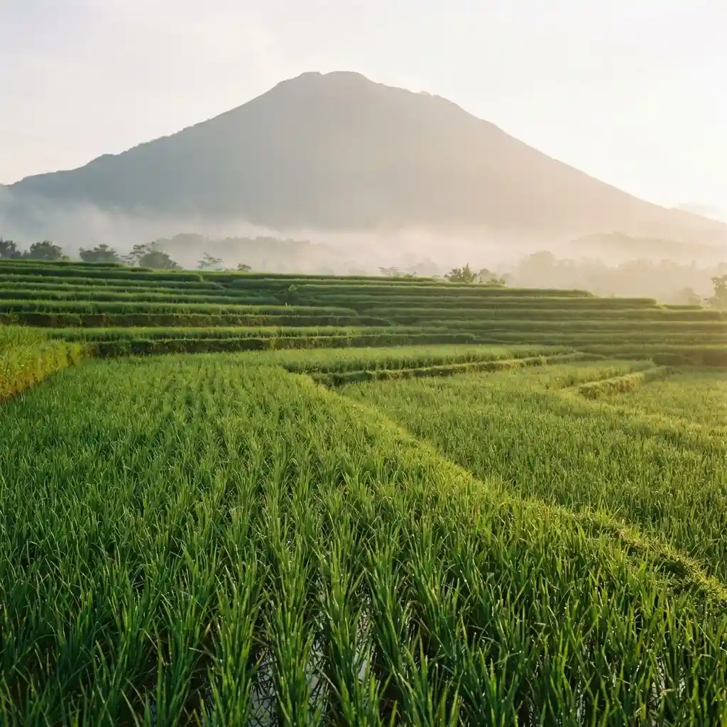 Mount Agung view from Sidemen road